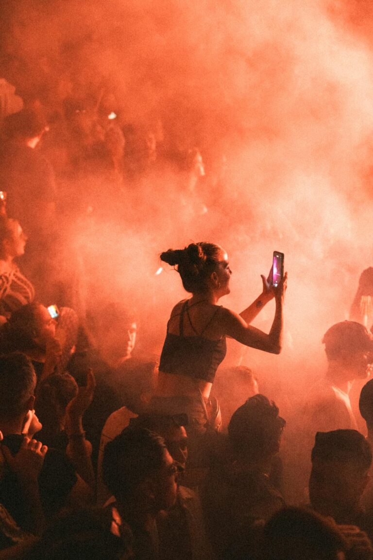 Lively festival scene with a crowd immersed in music and vibrant smoke effects.